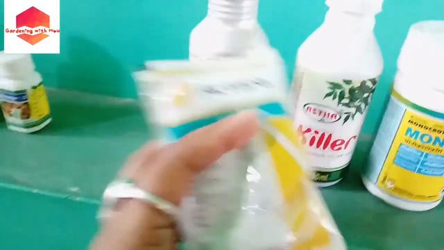 Hibiscus care full detail in Bengali /বিদেশী জবা গাছের পরিচর্যা part 1/36ন৲৹ ভিডিও смотреть онлайн