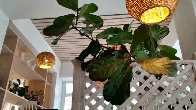 Прогулки по Питеру, кафе