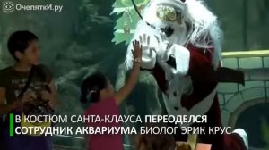 Посадили Дед Мороза в аквариум