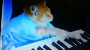 Ляпис Турбецкой котик