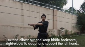 Rurouni Kenshin Hiten Mitusurugi Ryu: Kuzuryu Sen Real Life Inspiration: Namazu Revisit Friday w/ V