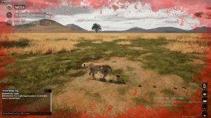 |ANIMALIA SURVIVAL| Львы против леопардов. Бей своих, чтобы другие боялись)