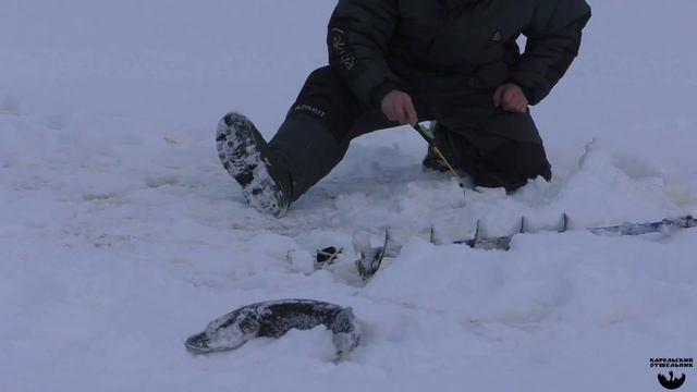 Рыбалка на таёжном озере. Таёжные истории за столом. ЧАСТЬ 2.