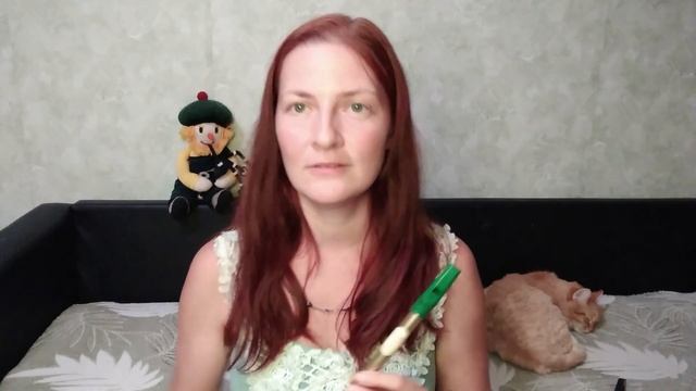 Обзор тин вистла: Walton's mellow D смотреть онлайн