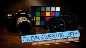 Сводим камеры по цвету | Цветовая мишень + 3D LUT Creator + Premiere Pro