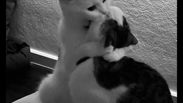 Kara Deri - Вернёшься (Может ты вернешься все же хорошо) ? Slowed смотреть онлайн