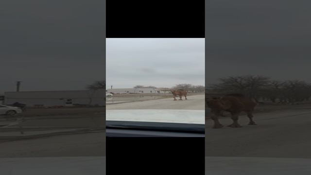 Туркменистан