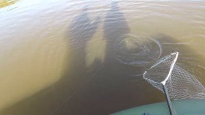 Рыбалка, судак на р.Чусовой.