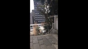 Новые места в Токио, пешком по городу. Япония, январь 2019г.