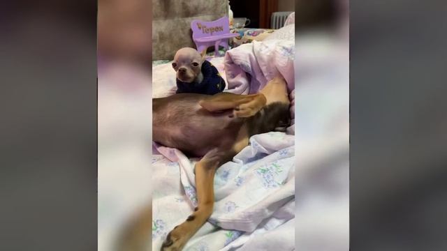 27 февраля 2021 г. смотреть онлайн