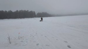 Глухозимье. ждем весну!