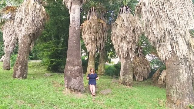 Как стать спокойнее. Конфликтология-18. смотреть онлайн