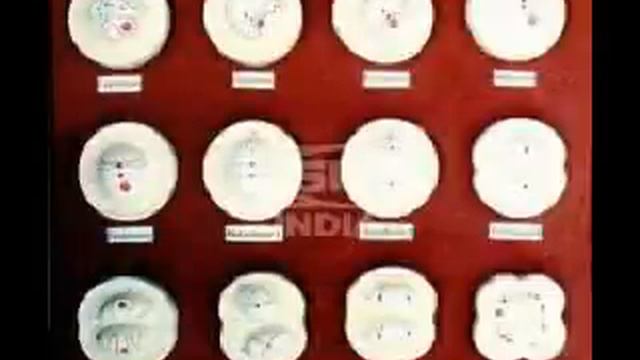 hey mitosis смотреть онлайн