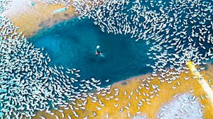 Такое Случается Только Один Раз в 100 Лет! Самые Редкие Природные Явления