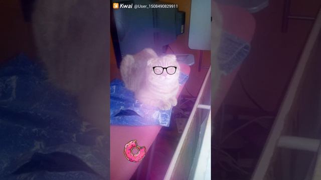 Мечети збиааютьца смотреть онлайн