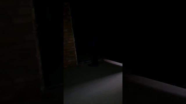 Сдается помещение Гвардейская площадь 90 м смотреть онлайн