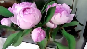 Пионы из фоамирана.