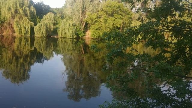 23 июля. Антоний Громоносец. ОБЯЗАТЕЛЬНО ПРИНИМАЕМ СЕГОДНЯ ВАННУ/Народные приметы смотреть онлайн