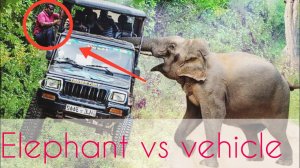 Wild Elephant VS Vehicle - King Animal Attack on Vehicle.mp4