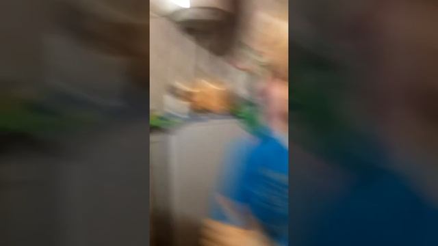 Маленький бородач. смотреть онлайн