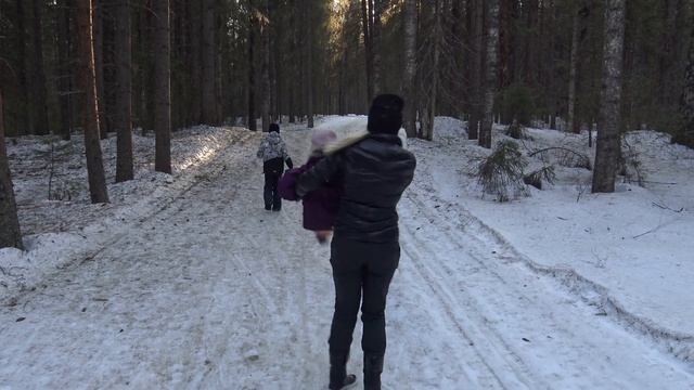 САМОИЗОЛЯЦИЯ В ЛЕСУ смотреть онлайн