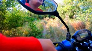 Попал Летом на раздачу СОМА, на ПОПЛАВОК в болоте, как клюёт сом. Рыбалка  берега