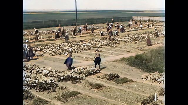 Prachtig Marken in de jaren '20 in kleur! The wonderful peninsula of Marken in the 1920s in color! смотреть онлайн