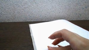 Ночная фурия - Дневная фурия. Как приручить дракона. Картинка 2 в 1. Поделка из бумаги своими рукам