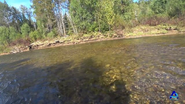 Рыбалка. Ловля хариуса на грузовой настрой. Angara. смотреть онлайн
