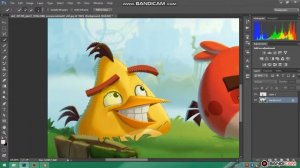 Photoshop Tutorial - Create An Angry Bird newton editing zone