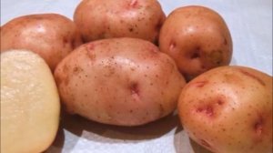 Картофель Жуковский ранний, Колетте, Гала: популярные сорта российской и зарубежной селекции