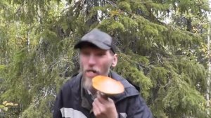 Грибабас гроза грибов!