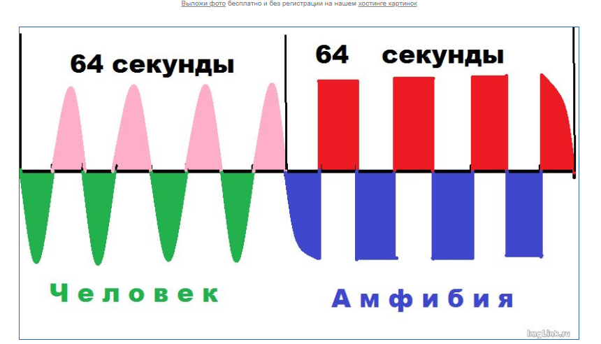 64 секунды