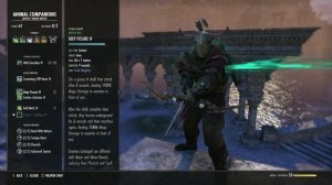 ESO - QUIVER - ONE BOW, ONE BAR, Warden build!