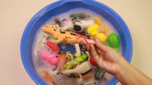 Учите названия диких животных Названия морских животных Тигр Лев Лошадь Шерк на английском языке