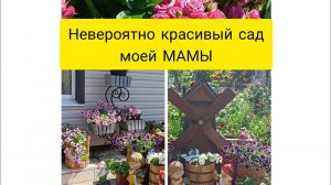 НЕВЕРОЯТНО КРАСИВЫЙ САД МОЕЙ МАМЫ. ПРИГЛАШАЮ НА ПРОГУЛКУ ???#садвцветах #цветы #flowers.mp4