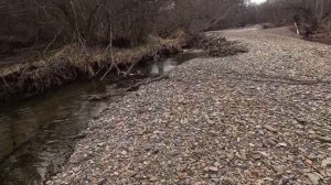 На перегруженной лодке по узеньким, мелким протокам таёжной реки.