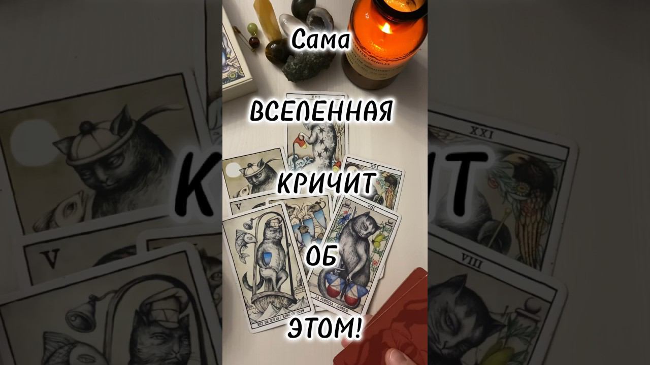 Подсказки ВСЕЛЕННОЙ! #таро #тароонлайн #раскладтаро #знакисудьбытаро #гаданиеонлайн #гадания