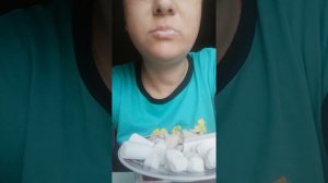 Мел Песчанка, глиномел Пломбир, пресованные Сливки, Уральская крошва и Пиленая Услада