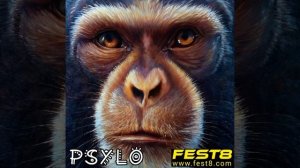 PSYLO драм энд бейс 2023