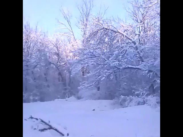 Зимний сад смотреть онлайн