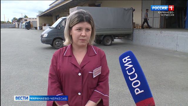 23 июня, в Черкесске, состоится ярмарка трудоустройства "Работа России. Время возможностей" смотреть онлайн