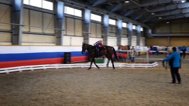 WhatsApp Video 2020 04 26 at 14 53 40 смотреть онлайн