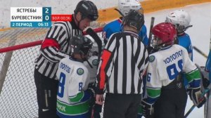 Хоккей с шайбой. Белые Ястребы (Северск) - Буревестник (Томск)