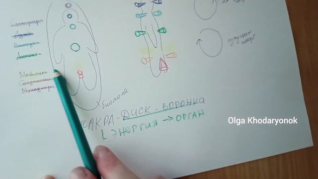 Чакры. Важные невидимые органы человека. Чакры человека. Значение чакр.