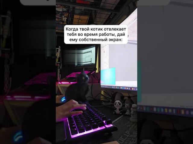 Надёжный план смотреть онлайн