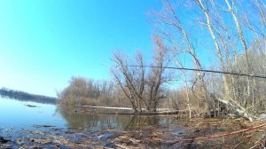 Фидер. Ловля по холодной воде. Тестируем разные приманки.