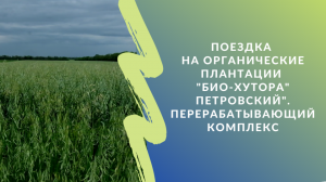 Поездка на органические плантации "Био-хутора "Петровский". Перерабатывающий комплекс предприятия