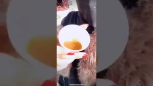 Saudi girl bra open video | Saudi Imo video call live see | Saudi arab beautiful girl video