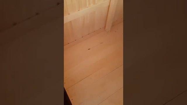 Баня каркасная